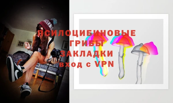 a pvp Алзамай