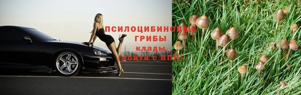 a pvp Алзамай