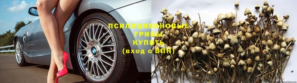 синтетический гашиш Алексеевка
