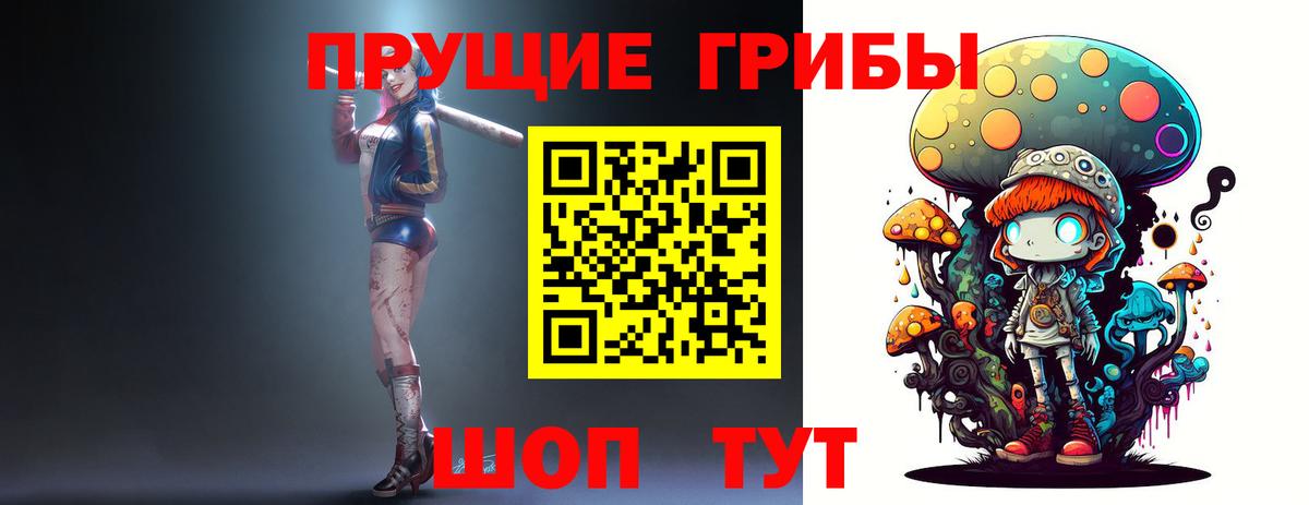 Кемерово  Псилоцибиновые грибы Psilocybe  купить наркоту  Вход с VPN  Псилоцибиновые грибы мицелий 